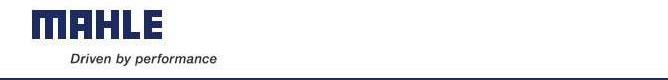 Mahle header.JPG